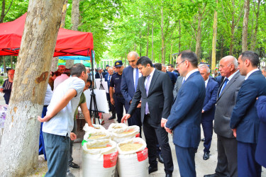 Ağstafada  Məhsul bayramı keçirilib