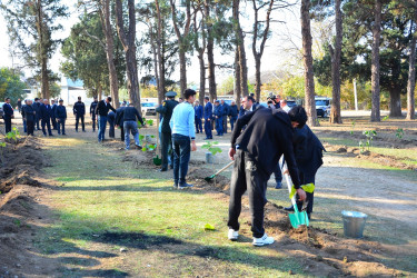 Ağstafada 8 Noyabr – Zəfər Gününün beşinci ildönümünə həsr olunmuş “Vətən nəfəsi” adlı ağacəkmə aksiyaları təşkil olunub