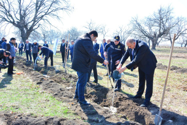 Ağstafada Ulu Öndər Heydər Əliyevin 100 illik yubileyi ilə əlaqədar ağacəkmə aksiyası təşkil olunub