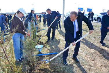 Ağstafada “Şəhərsalma və Memarlıq İli”nə həsr olunmuş genişmiqyaslı ağacəkmə aksiyası keçirilib