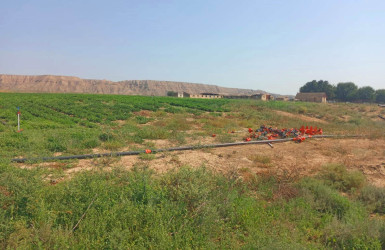 Ağstafa rayonunda torpaqlardan təyinatı üzrə istifadə olunmasına dair monitorinqlər davam etdirilir