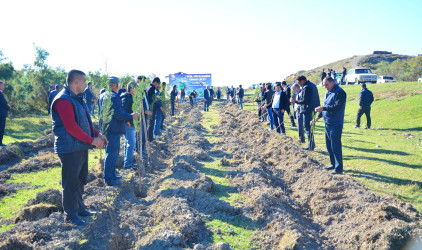 Ağstafalı təhsil işçiləri də “Yaşıl dünya naminə həmrəylik ili” çərçivəsində keçirilən ağacəkmə aksiyasında fəallıq nümayiş etdiriblər