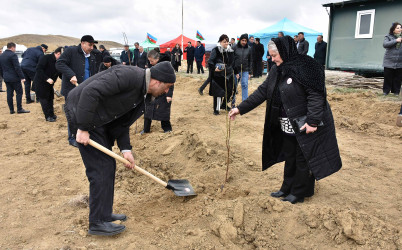 Ağstafada “Şəhərsalma və Memarlıq İli” çərçivəsində növbəti ağacəkmə aksiyası “Keşikçidağ” Dövlət tarix-mədəniyyət qoruğunun ərazisində təşkil olunub