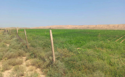 Ağstafa rayonunda torpaqlardan təyinatı üzrə istifadə olunmasına dair monitorinqlər davam etdirilir