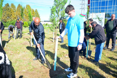 Ağstafalı şəhid valideynləri də “Yaşıl dünya naminə həmrəylik ili” çərçivəsində keçirilən ağacəkmə aksiyalarına öz töhfələrini veriblər