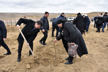 Ağstafada “Şəhərsalma və Memarlıq İli” çərçivəsində növbəti ağacəkmə aksiyası “Keşikçidağ” Dövlət tarix-mədəniyyət qoruğunun ərazisində təşkil olunub