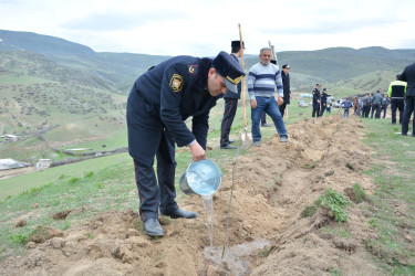 2023-cü il “Heydər Əliyev İli” çərçivəsində Ağstafada növbəti ağacəkmə aksiyası Köhnəqışlaq kəndində təşkil olunub.