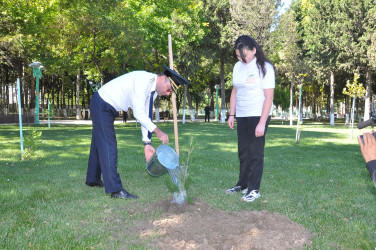 Şəhidlərimizin xatirəsinə ehtiram əlaməti olaraq Ağstafada ağacəkmə aksiyası keçirilib