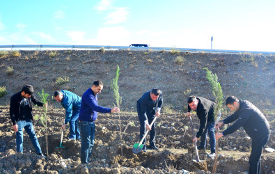 Ağstafada “Yaşıl dünya naminə həmrəylik ili” çərçivəsində keçirilən aksiyada rayonun aqrar sahəsində fəaliyyət göstərən strukturlar da iştirak edib