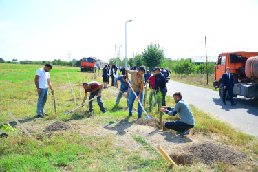Ağstafada Anım Günü ilə əlaqədar şəhidlərimizin əziz xatirəsinə həsr olunmuş ağacəkmə aksiyası təşkil olunub