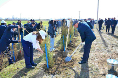 Ağstafada “Şəhərsalma və Memarlıq İli”nə həsr olunmuş genişmiqyaslı ağacəkmə aksiyası keçirilib