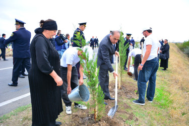 Ağstafada Anım Günü ilə əlaqədar şəhidlərimizin əziz xatirəsinə həsr olunmuş ağacəkmə aksiyası təşkil olunub