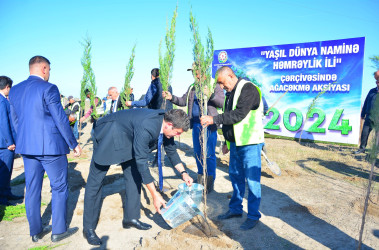 “27 № li Yol İstismarı” Məhdud Məsuliyyətli Cəmiyyətin əmək kollektivi ağacəkmə aksiyasında böyük səylə iştirak edib