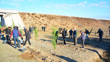 Ağstafada “Yaşıl dünya naminə həmrəylik ili” çərçivəsində genişmiqyaslı ağacəkmə aksiyaları davam edir