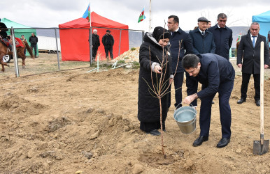 Ağstafada “Şəhərsalma və Memarlıq İli” çərçivəsində növbəti ağacəkmə aksiyası “Keşikçidağ” Dövlət tarix-mədəniyyət qoruğunun ərazisində təşkil olunub