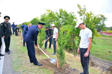 Ağstafada Anım Günü ilə əlaqədar şəhidlərimizin əziz xatirəsinə həsr olunmuş ağacəkmə aksiyası təşkil olunub