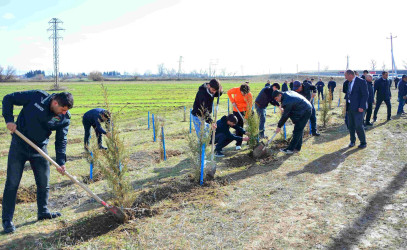 Ağstafada “Şəhərsalma və Memarlıq İli”nə həsr olunmuş genişmiqyaslı ağacəkmə aksiyası keçirilib