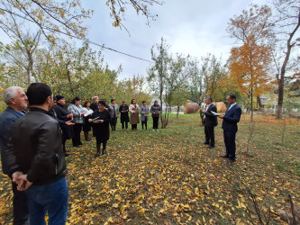 Ağstafada qəhvəyi mərmər bağacığına qarşı mübarizə ilə bağlı maarifləndirici tədbirlər davam etdirilir