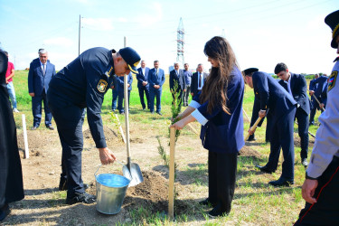 Ağstafada Anım Günü ilə əlaqədar şəhidlərimizin əziz xatirəsinə həsr olunmuş ağacəkmə aksiyası təşkil olunub