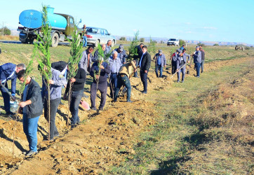 Qarayazı Dövlət Təbiət və “Keşikçidağ” Dövlət tarix-mədəniyyət Qoruqlarının əmək kollektivlərinin üzvləri də ağacəkmə aksiyasına töhfələrini veriblər