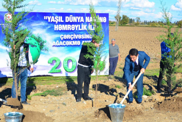 “Yaşıl dünya naminə həmrəylik” ili çərçivəsində keçirilən ağacəkmə aksiyalarında təşkilatlar fəal iştirak edirlər