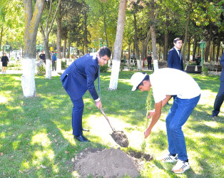 Şəhidlərimizin xatirəsinə ehtiram əlaməti olaraq Ağstafada ağacəkmə aksiyası keçirilib