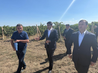 Ağstafada 2026-2030-cu illər üçün Dövlət Proqramının icrası ilə bağlı aqroparklarda və iri fermer təsərrüfatlarında monitorinq keçirilmişdir