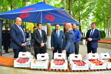 Ağstafada  Məhsul bayramı keçirilib