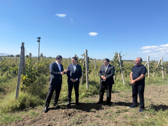 Ağstafada 2026-2030-cu illər üçün Dövlət Proqramının icrası ilə bağlı aqroparklarda və iri fermer təsərrüfatlarında monitorinq keçirilmişdir