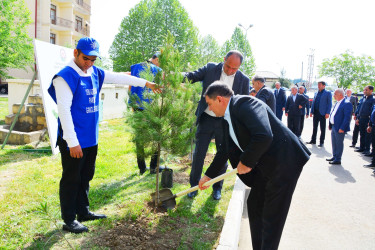 Ölkəmizdə 2024-cü ilin “Yaşıl dünya naminə həmrəylik ili” çəçrivəsində Ağstafada növbəti ağacəkmə aksiyası keçirilib