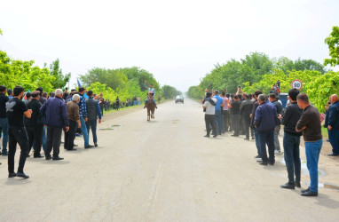 Ağstafada 28 May Müstəqillik Gününə həsr olunmuş yorğa atların yarışı üzrə regional birincilik keçirilib