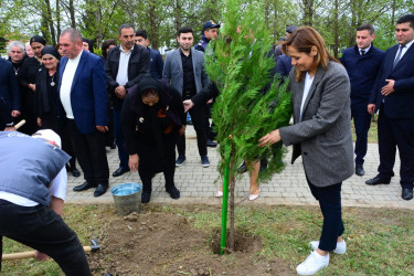 Ölkəmizdə 25-ci “Vətən Bağı” Ağstafa rayonunda salındı.