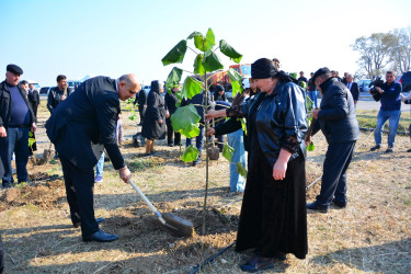 Ağstafada 8 Noyabr – Zəfər Gününün beşinci ildönümünə həsr olunmuş “Vətən nəfəsi” adlı ağacəkmə aksiyaları təşkil olunub