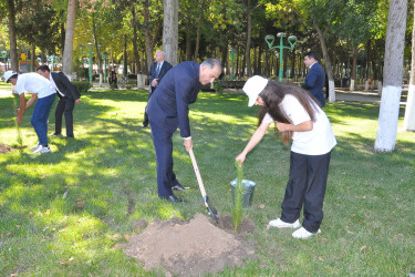 Şəhidlərimizin xatirəsinə ehtiram əlaməti olaraq Ağstafada ağacəkmə aksiyası keçirilib