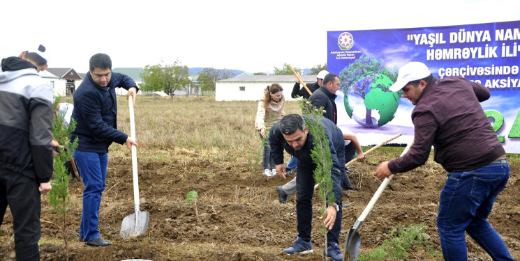 2024-cü ilin “Yaşıl dünya naminə həmrəylik ili” çərçivəsində Ağstafada ağacəkmə aksiyaları davam etdirilir