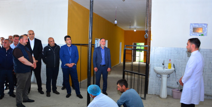 Ağstafada Qurban bayramı günlərində heyvanların satışı və kəsimi xidmətləri zəruri norma və qaydalar çərçivəsində həyata keçirilir