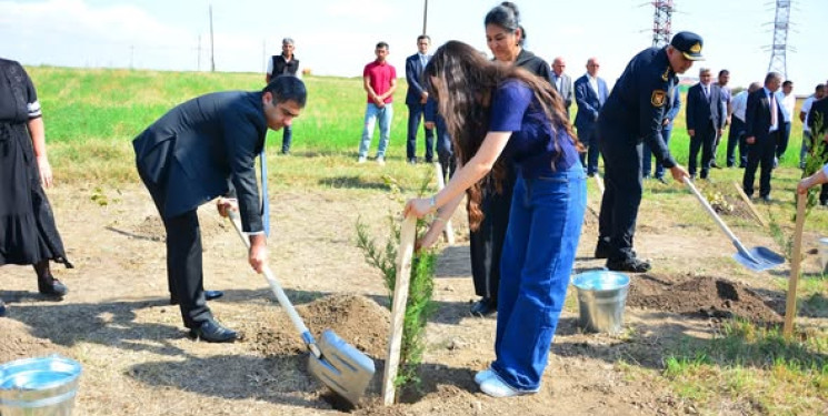 Ağstafada Anım Günü ilə əlaqədar şəhidlərimizin əziz xatirəsinə həsr olunmuş ağacəkmə aksiyası təşkil olunub