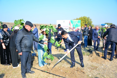 Ağstafada 8 Noyabr – Zəfər Gününün beşinci ildönümünə həsr olunmuş “Vətən nəfəsi” adlı ağacəkmə aksiyaları təşkil olunub