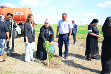 Ağstafada Anım Günü ilə əlaqədar şəhidlərimizin əziz xatirəsinə həsr olunmuş ağacəkmə aksiyası təşkil olunub