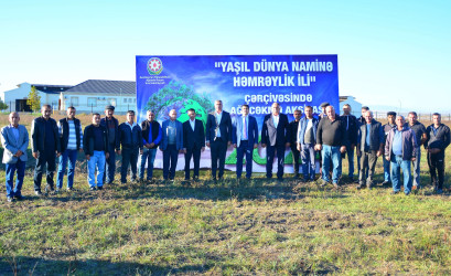 Seymur Orucov “Dilbaz” Atçılıq Təsərrüfatında çalışan əməkdaşlarla birlikdə ağacəkmə aksiyasında iştirak edib