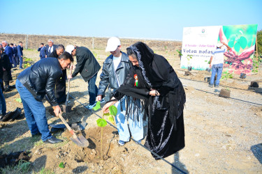 Ağstafada 8 Noyabr – Zəfər Gününün beşinci ildönümünə həsr olunmuş “Vətən nəfəsi” adlı ağacəkmə aksiyaları təşkil olunub
