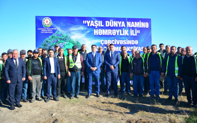 “27 № li Yol İstismarı” Məhdud Məsuliyyətli Cəmiyyətin əmək kollektivi ağacəkmə aksiyasında böyük səylə iştirak edib