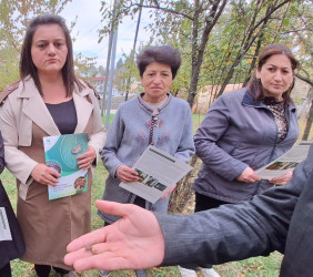 Ağstafada qəhvəyi mərmər bağacığına qarşı mübarizə ilə bağlı maarifləndirici tədbirlər davam etdirilir