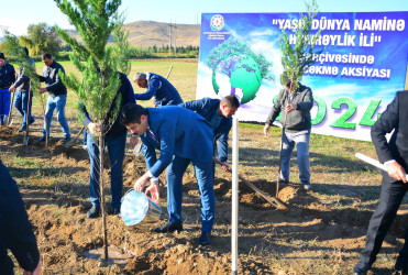 Ağstafada “Yaşıl dünya naminə həmrəylik ili” çərçivəsində genişmiqyaslı ağacəkmə aksiyaları davam edir