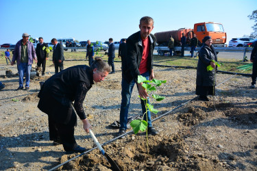 Ağstafada 8 Noyabr – Zəfər Gününün beşinci ildönümünə həsr olunmuş “Vətən nəfəsi” adlı ağacəkmə aksiyaları təşkil olunub