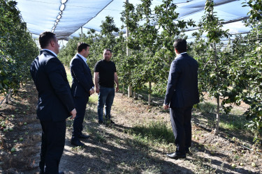 Ağstafada 2026-2030-cu illər üçün Dövlət Proqramının icrası ilə bağlı aqroparklarda və iri fermer təsərrüfatlarında monitorinq keçirilmişdir