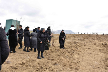 Ağstafada “Şəhərsalma və Memarlıq İli” çərçivəsində növbəti ağacəkmə aksiyası “Keşikçidağ” Dövlət tarix-mədəniyyət qoruğunun ərazisində təşkil olunub