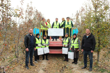 Meyvə bağlarının aqrar sığorta mövsümü başlayır