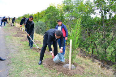 Ağstafada Anım Günü ilə əlaqədar şəhidlərimizin əziz xatirəsinə həsr olunmuş ağacəkmə aksiyası təşkil olunub