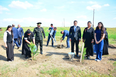 Ağstafada Anım Günü ilə əlaqədar şəhidlərimizin əziz xatirəsinə həsr olunmuş ağacəkmə aksiyası təşkil olunub